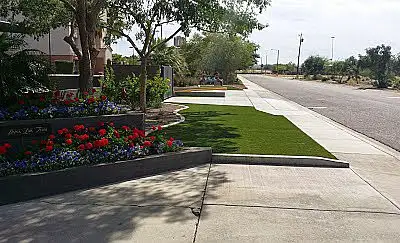 Commercial Landscape Maintenance, Phoenix, AZ