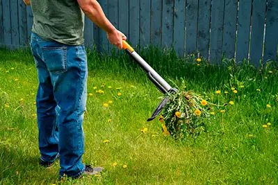 Weed Control, Phoenix, AZ